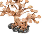 UNSHARDSCAPE UNS Bonsai 016 driftwood piece with intricate natural wood textures and organic shape for bonsai or decor.