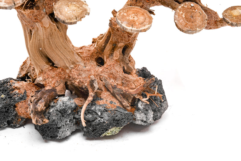 UNSHARDSCAPE UNS Bonsai 016 driftwood piece with intricate natural textures and organic shape for bonsai or decorative displays