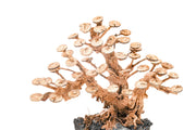 UNSHARDSCAPE UNS Bonsai 016 driftwood piece with intricate natural wood texture and irregular shape for bonsai or decorative use