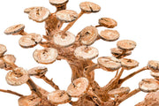UNSHARDSCAPE UNS Bonsai 016 driftwood piece with intricate natural wood grain and unique shape for bonsai or decorative display