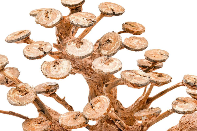 UNSHARDSCAPE UNS Bonsai 016 driftwood piece with intricate natural wood grain and unique shape for bonsai or decorative display