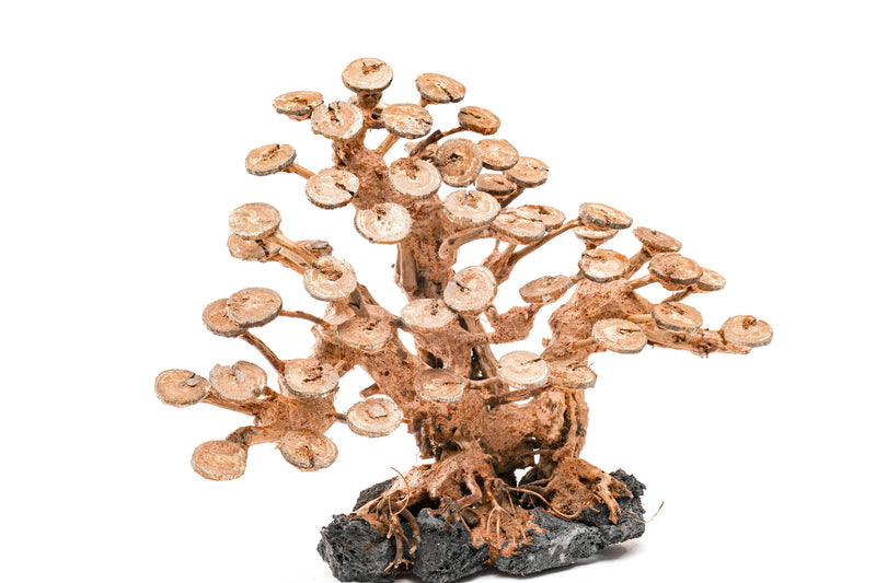 UNSHARDSCAPE UNS Bonsai 016 driftwood sculpture with intricate, natural wood details for decorative bonsai displays