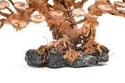 UNSHARDSCAPE UNS Bonsai 016 driftwood piece, natural wood sculpture for bonsai or decorative display, detailed texture and organic shape