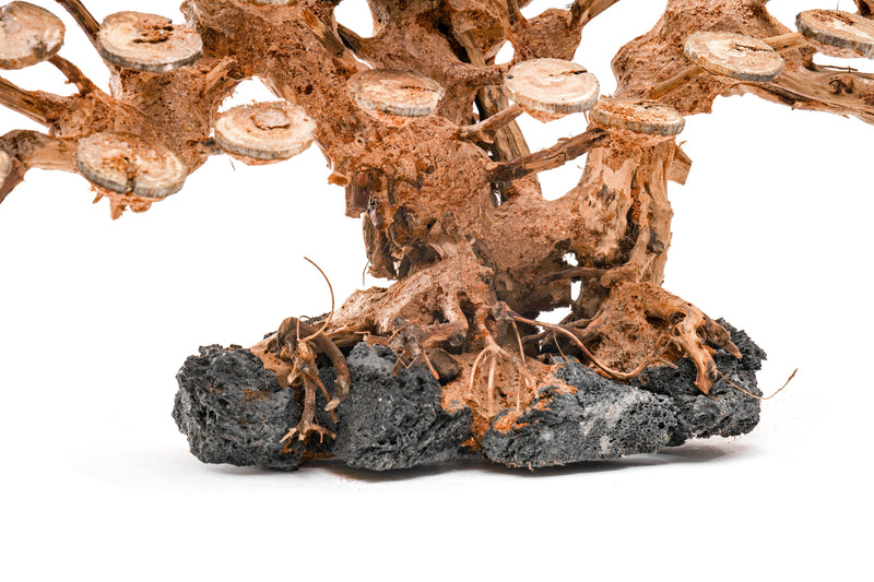 UNSHARDSCAPE UNS Bonsai 016 driftwood piece, natural wood sculpture for bonsai or decorative display, detailed texture and organic shape