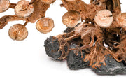 UNSHARDSCAPE UNS Bonsai 016 driftwood piece with intricate natural wood textures on a neutral background