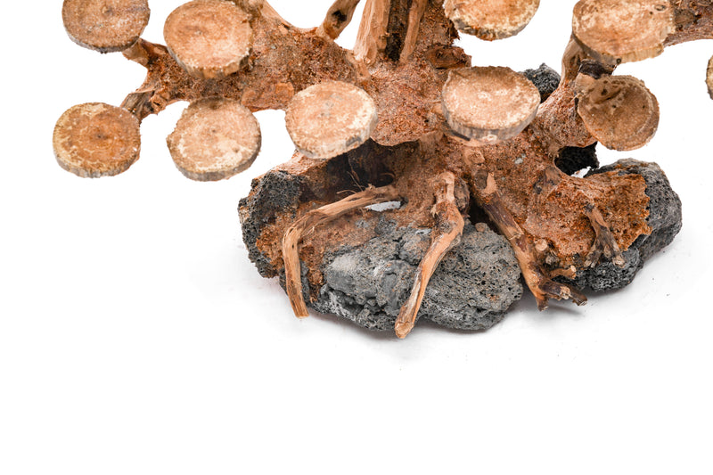 UNSHARDSCAPE UNS Bonsai 016 driftwood piece with natural, textured wood, ideal for bonsai or decorative plant arrangements.