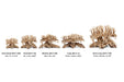 UNSHARDSCAPE UNS Bonsai 017 driftwood piece with intricate natural wood textures and organic shape for bonsai or decorative display.