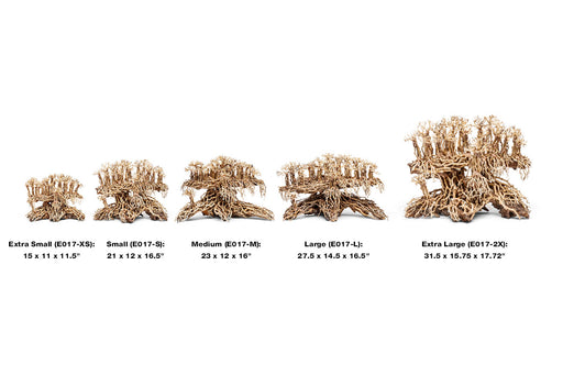 UNS Bonsai 017