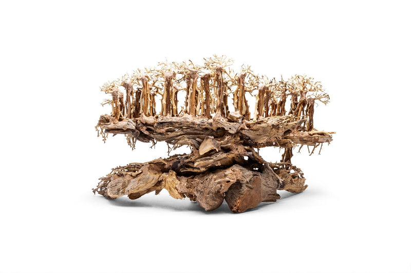 UNSHARDSCAPE UNS Bonsai 017 driftwood piece with intricate natural texture and organic shape for bonsai or decorative use