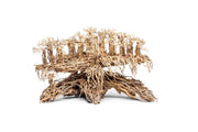 UNSHARDSCAPE UNS Bonsai 017 driftwood piece with natural, intricate wood grain and unique shape for bonsai or decorative display