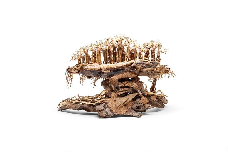 UNSHARDSCAPE UNS Bonsai 017 driftwood piece with intricate natural wood textures and organic shape for bonsai decoration.