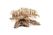 UNSHARDSCAPE UNS Bonsai 017 driftwood piece with natural, intricate wood grain and organic shape suitable for bonsai or decor.