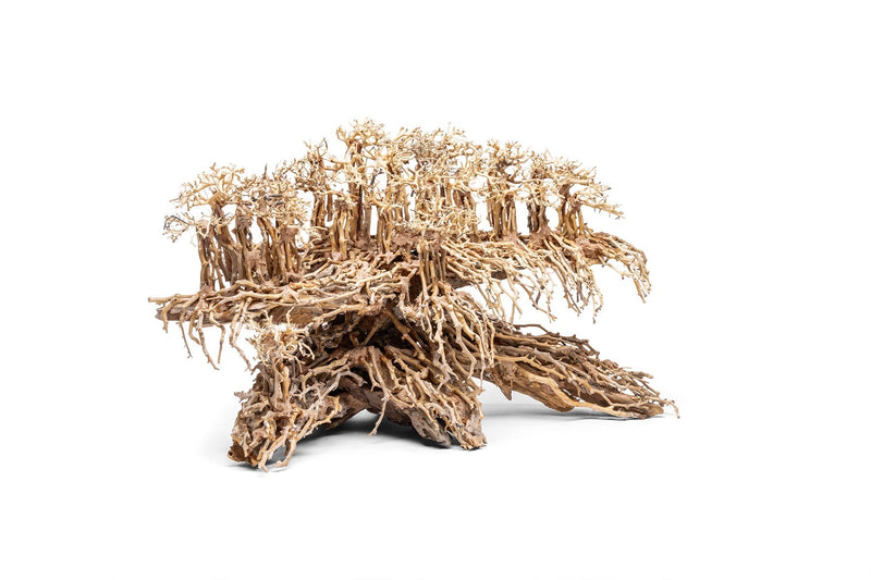 UNSHARDSCAPE UNS Bonsai 017 driftwood piece with natural, intricate wood grain and organic shape suitable for bonsai or decor.