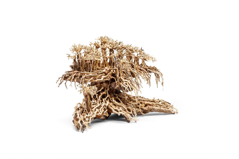 UNSHARDSCAPE UNS Bonsai 017 driftwood piece with natural, textured wood for bonsai or decorative display.