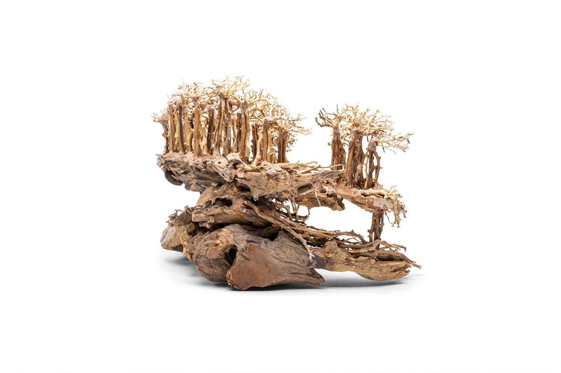 UNSHARDSCAPE UNS Bonsai 017 driftwood piece with intricate natural wood textures and organic shape for bonsai decoration.