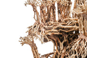 UNSHARDSCAPE UNS Bonsai 017 driftwood piece with intricate natural wood grain and unique shape for bonsai or decorative use