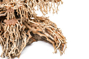UNSHARDSCAPE UNS Bonsai 017 driftwood piece with intricate natural textures and organic shape on a neutral background