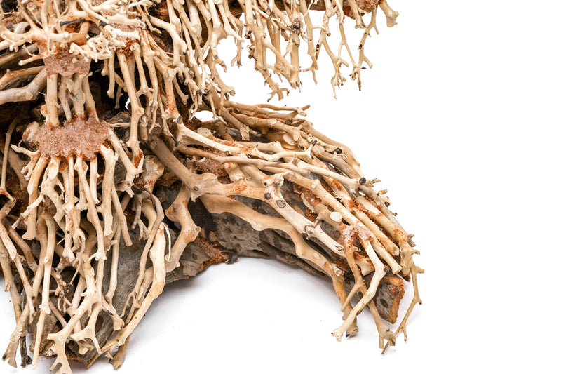 UNSHARDSCAPE UNS Bonsai 017 driftwood piece with intricate natural textures and organic shape on a neutral background