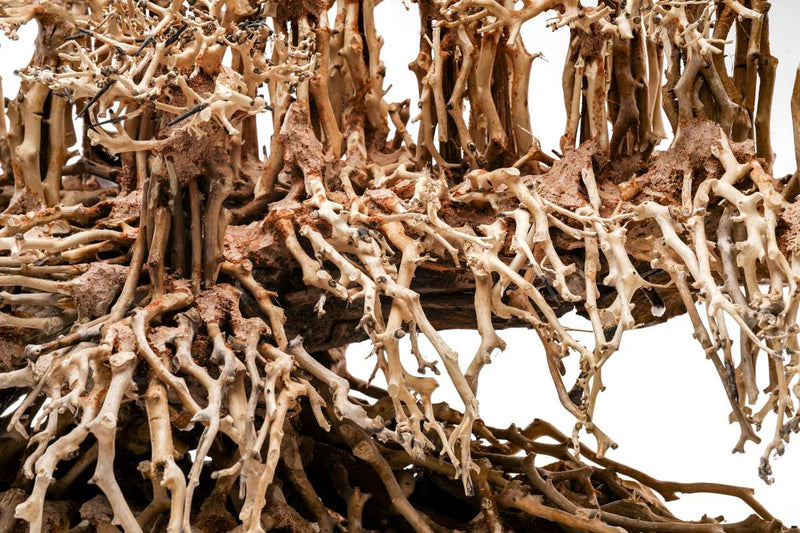 UNSHARDSCAPE UNS Bonsai 017 driftwood piece with intricate natural textures and organic shape for bonsai decoration.