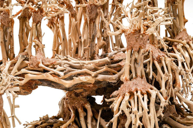 UNSHARDSCAPE UNS Bonsai 017 driftwood piece with intricate natural wood texture and organic shape for bonsai or decorative display.