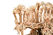UNSHARDSCAPE UNS Bonsai 017 driftwood piece with intricate, natural wood textures for bonsai or decorative arrangements