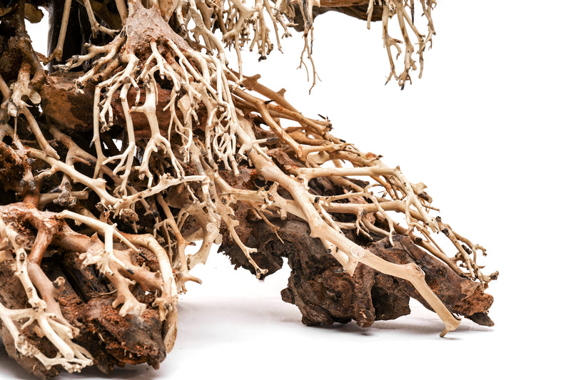 UNSHARDSCAPE UNS Bonsai 017 driftwood piece with intricate natural textures and organic shape, suitable for bonsai or decorative displays.