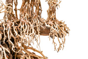 UNSHARDSCAPE UNS Bonsai 017 driftwood piece with intricate natural wood texture and organic shape for bonsai decoration