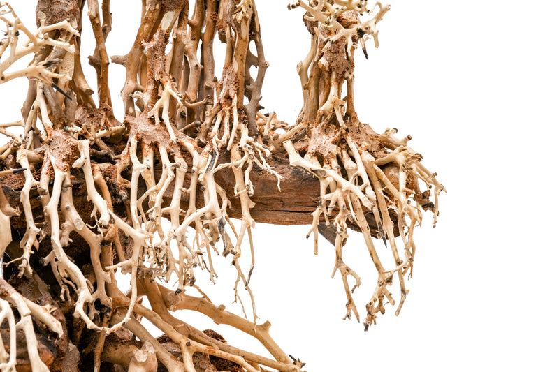 UNSHARDSCAPE UNS Bonsai 017 driftwood piece with intricate natural wood texture and organic shape for bonsai decoration