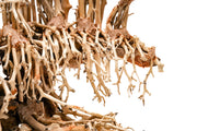 UNSHARDSCAPE UNS Bonsai 017 driftwood piece with twisted, natural wood texture on a plain background for bonsai or decorative use