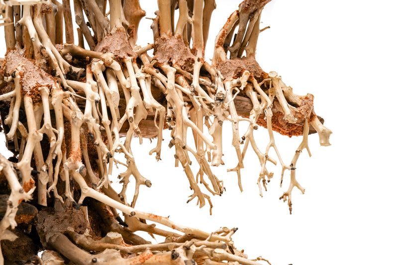 UNSHARDSCAPE UNS Bonsai 017 driftwood piece with twisted, natural wood texture on a plain background for bonsai or decorative use