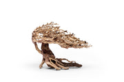 UNS Bonsai 019 Driftwood - Buce Plant