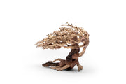 UNS Bonsai 019 Driftwood - Buce Plant