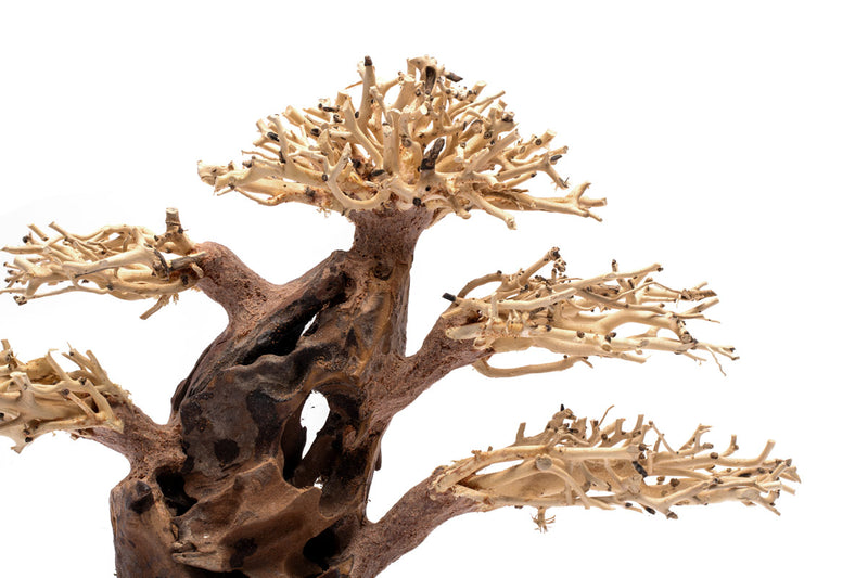 UNSHARDSCAPE UNS Bonsai 020 driftwood piece with intricate, natural wood texture suitable for bonsai or decorative displays