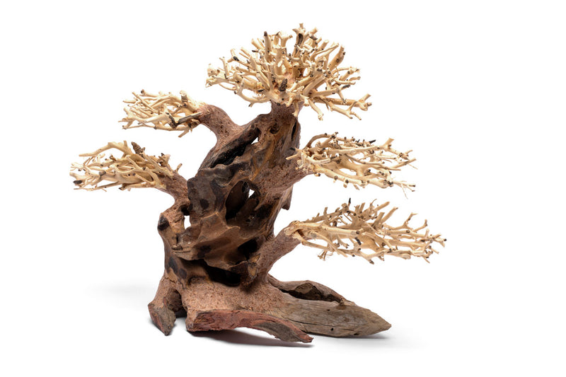 UNSHARDSCAPE UNS Bonsai 020 driftwood piece with intricate natural wood details for bonsai and decorative displays