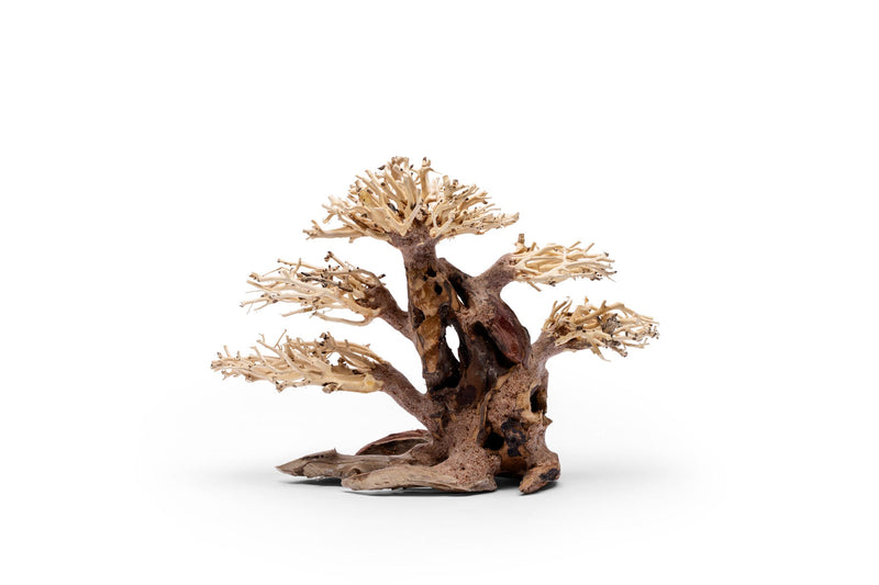 UNSHARDSCAPE UNS Bonsai 020 driftwood piece with intricate natural wood grain and organic shape for bonsai or decorative display