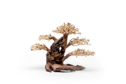 UNSHARDSCAPE UNS Bonsai 020 driftwood piece with intricate natural wood textures and organic shape for bonsai or decorative displays