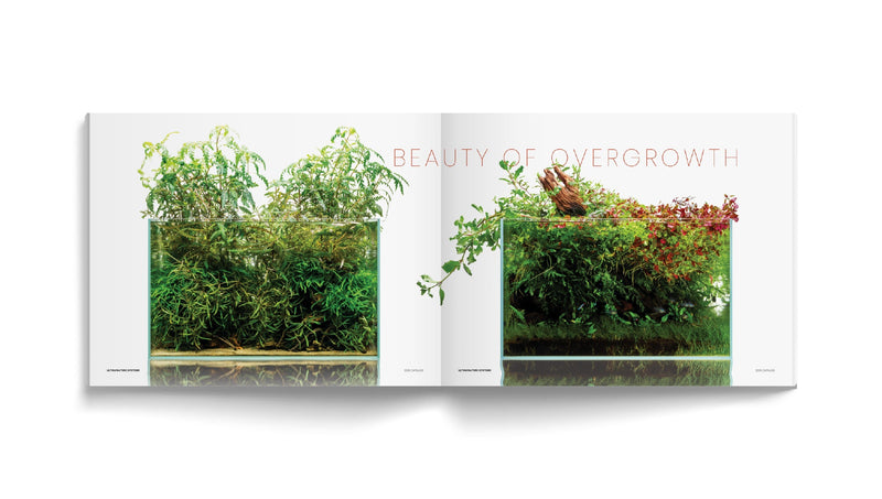 Ultum Nature Systems UNS Catalog Book showing product accessories and details on a clean background.
