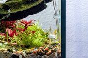 UNSCO2 CO2 diffuser for aquarium, cylindrical plastic device with inlet and outlet ports designed to disperse CO2 evenly.