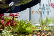 UNSCO2 CO2 diffuser for aquarium, cylindrical device with adjustable valve and tubing for efficient gas dispersion.