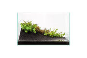 UNS Controbase Substrate - Buce Plant