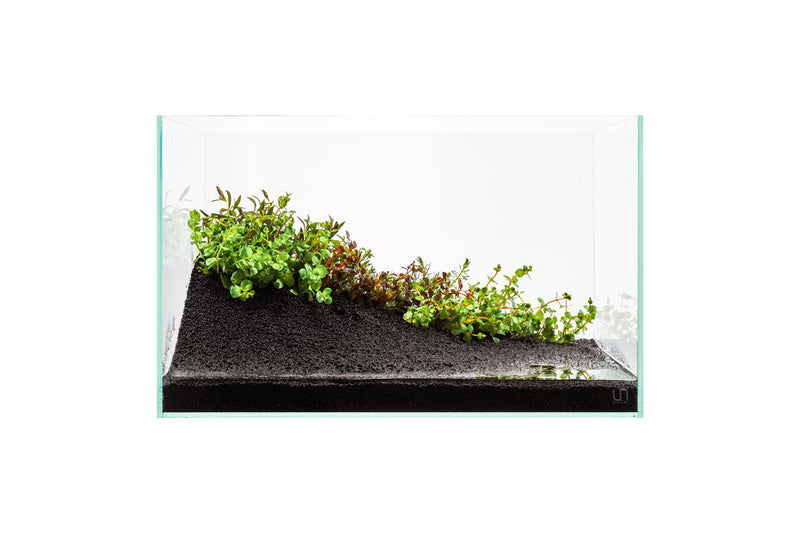 UNS Controbase Substrate - Buce Plant
