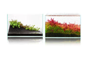 UNS Controbase Substrate - Buce Plant