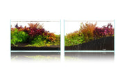 UNS Controbase Substrate - Buce Plant