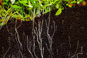 UNS Controbase Substrate - Buce Plant