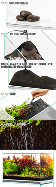 UNS Controbase Substrate - Buce Plant