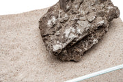 UNS Controsand - Bora Substrate - Buce Plant