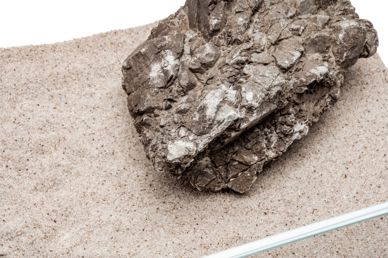 UNS Controsand - Bora Substrate - Buce Plant