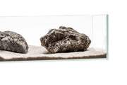 UNS Controsand - Bora Substrate - Buce Plant