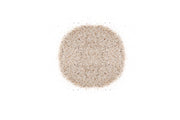 UNS Controsand - Bora Substrate - Buce Plant