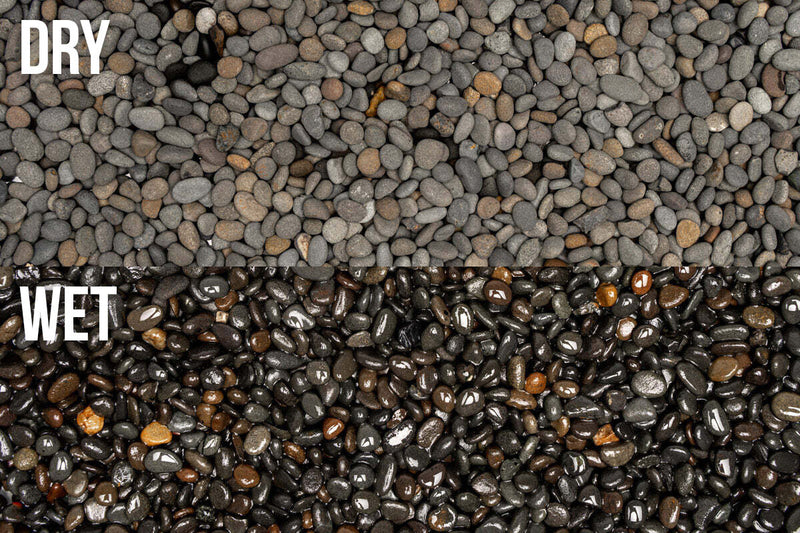 UNS Controsand - Kona Substrate - Buce Plant